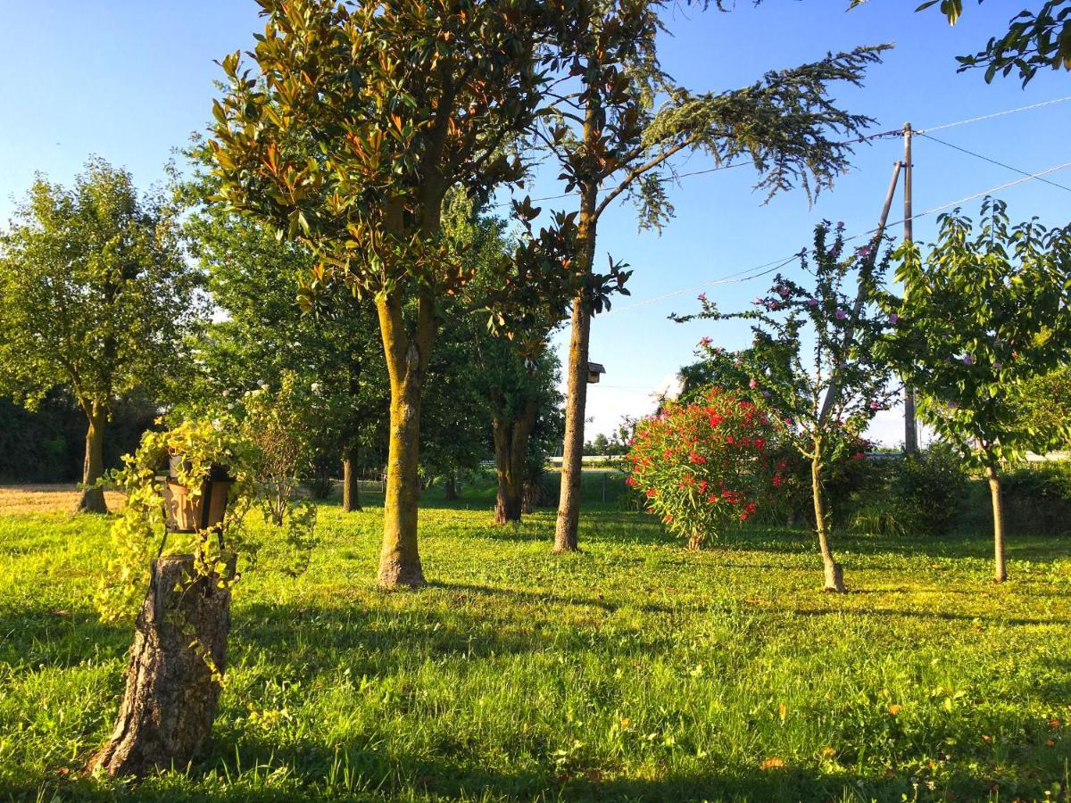 Ca' Rosin Meolo - Camera Tra Relax E Privacy Bagian luar foto